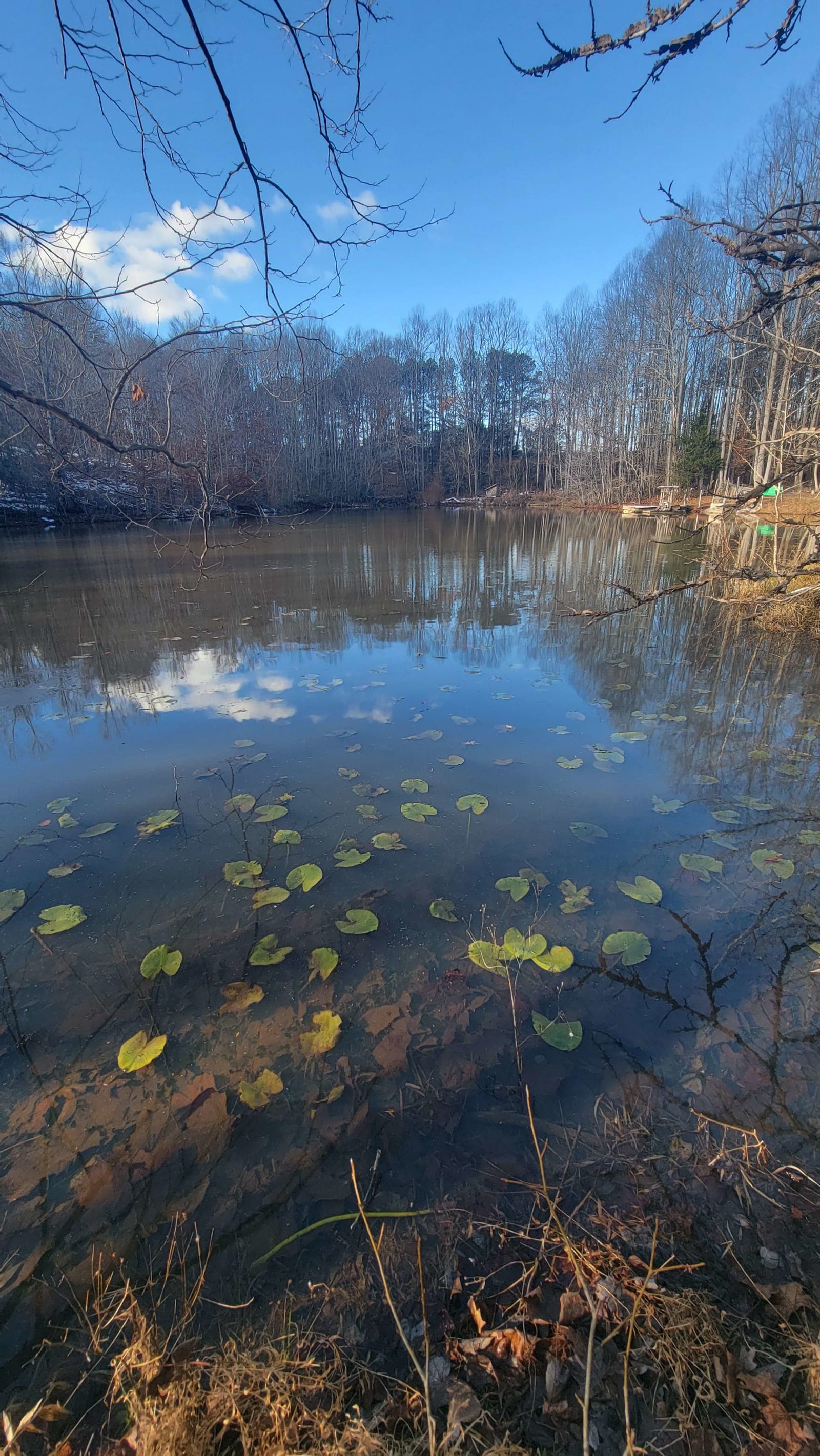 Jolly Pond on the Virginia farm